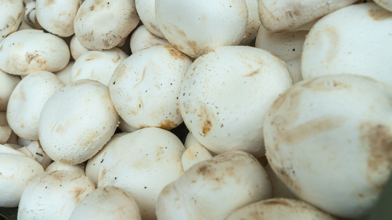 Mushrooms in a basket at a store