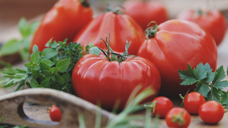 Variety of bright red tomatoes