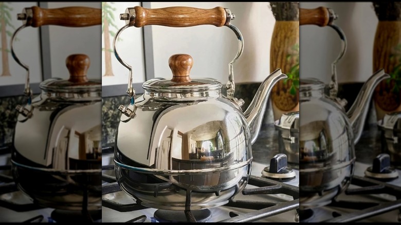 Stainless steel tea kettle