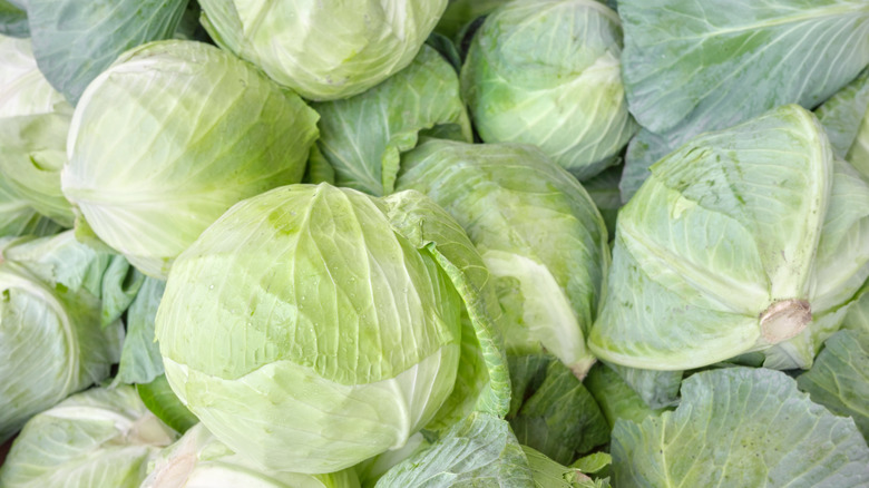 Stacks of cabbages sporadically placed on top of each other
