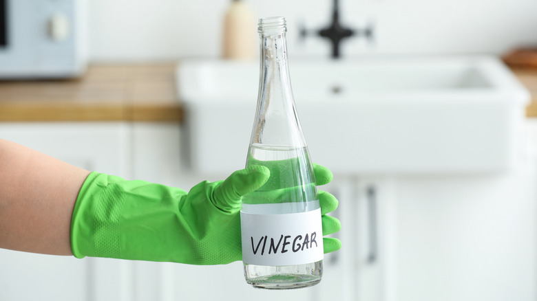 Person holding bottle of cleaning vinegar in green cleaning glove.