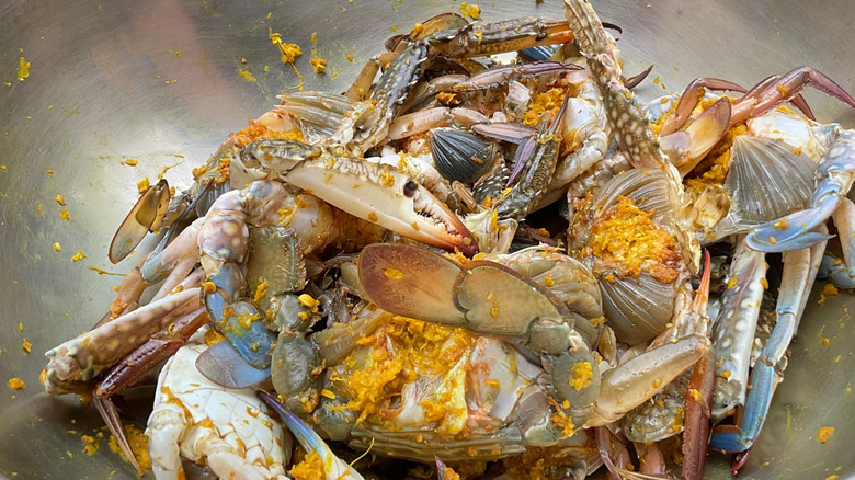 Crab meat in a can