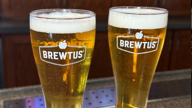 Two filled Brewtus glasses on a bar