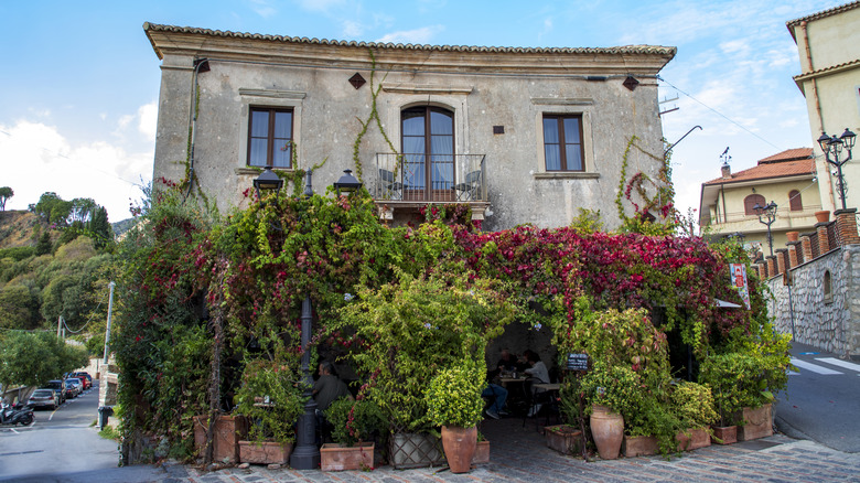 Exterior of the Bar Vitelli, whose entry is as usual surrounded by potted plants and trees