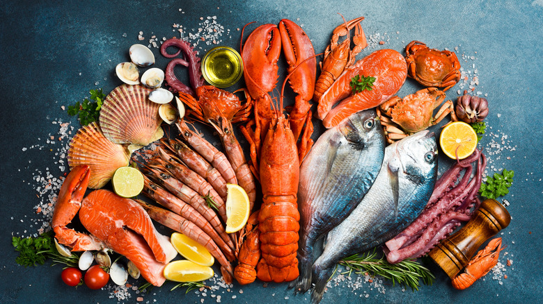 Various types of raw seafood arranged on a gray background with a red lobster in the center