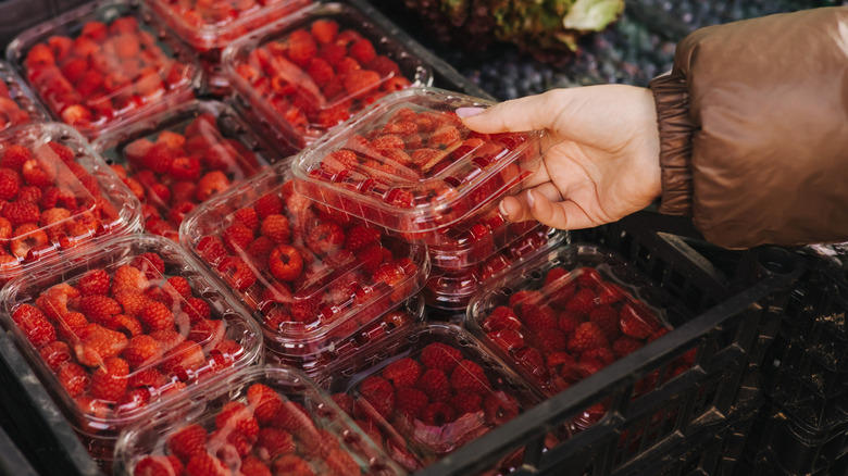 Person holding fresh berries in plastic packaging.