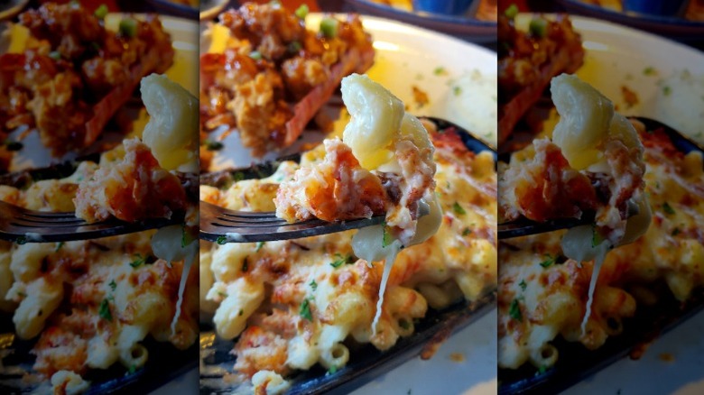 A forkful of Red Lobster's lobster pasta au gratin in front of the Lobster Lover's Dream.