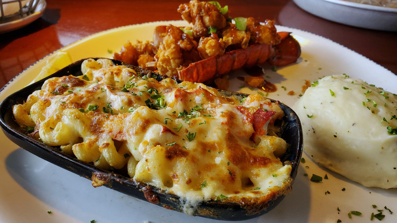 Red Lobster's lobster pasta au gratin with crispy dragon teriyaki lobster and mashed potatoes.