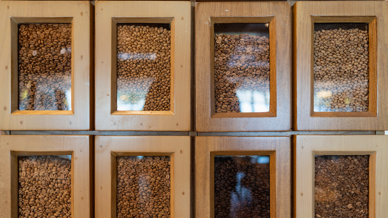 Wooden cabinets with glass doors containing whole coffee beans