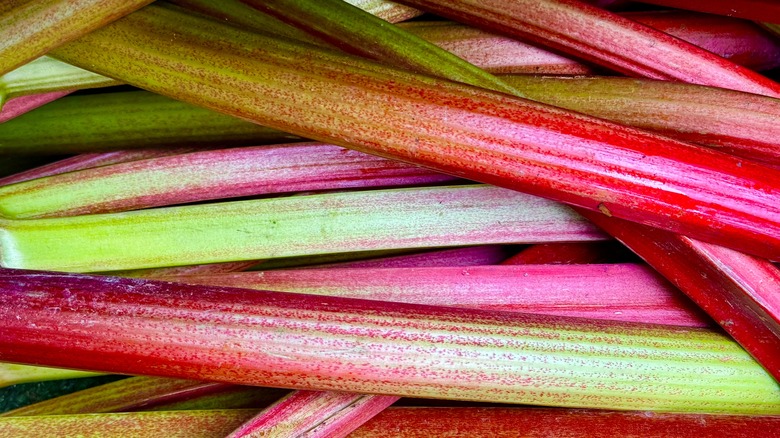rhubarb