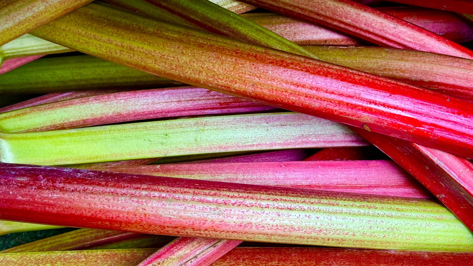 Rhubarb Cake Always Soggy? Here's The Mistake You're Probably Making