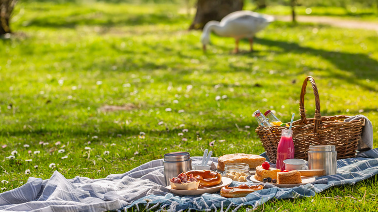 A picnic basket surrounded by food laid out on a picnic blanket in a sunny park