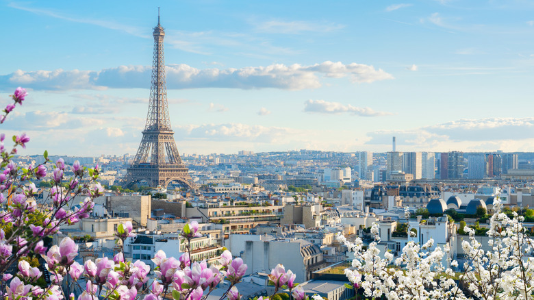 A view of the Eiffel Tower in Paris with flowers in the foreground