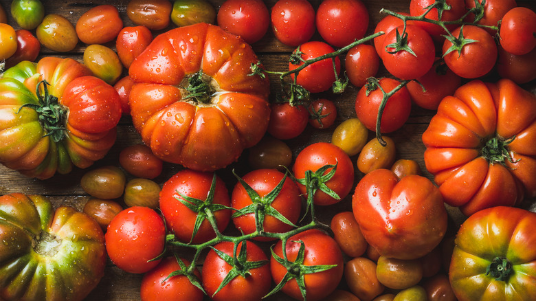 Colorful tomatoes of different sizes and kinds.