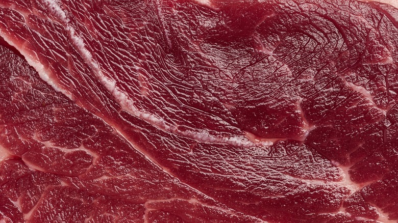Macro shot of steak marbling