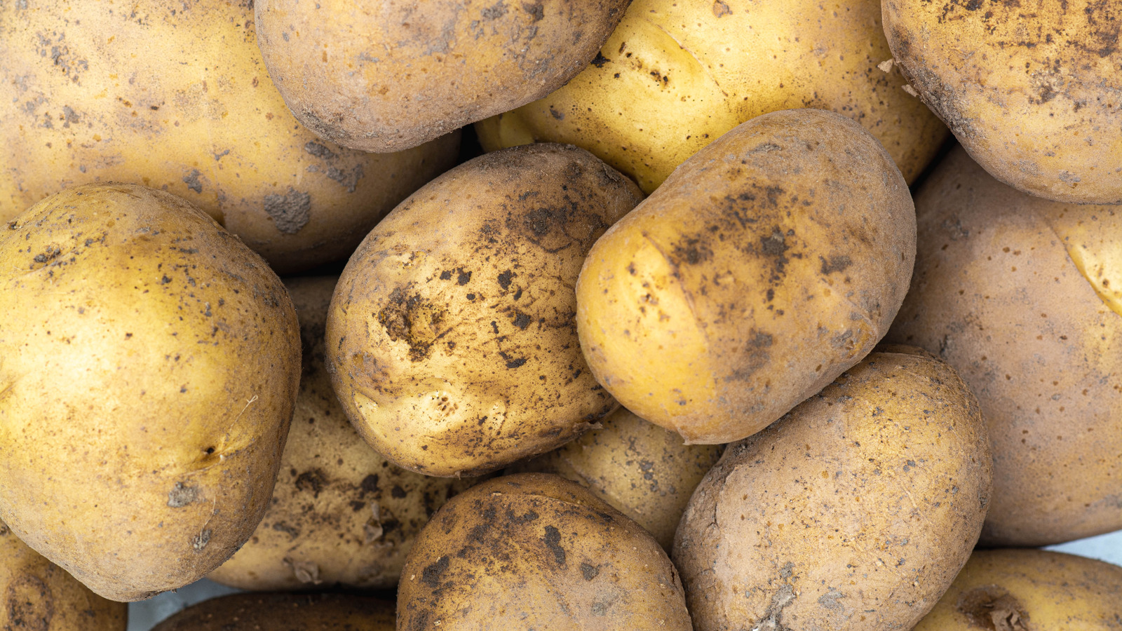 Yukon Gold Kartoffeln