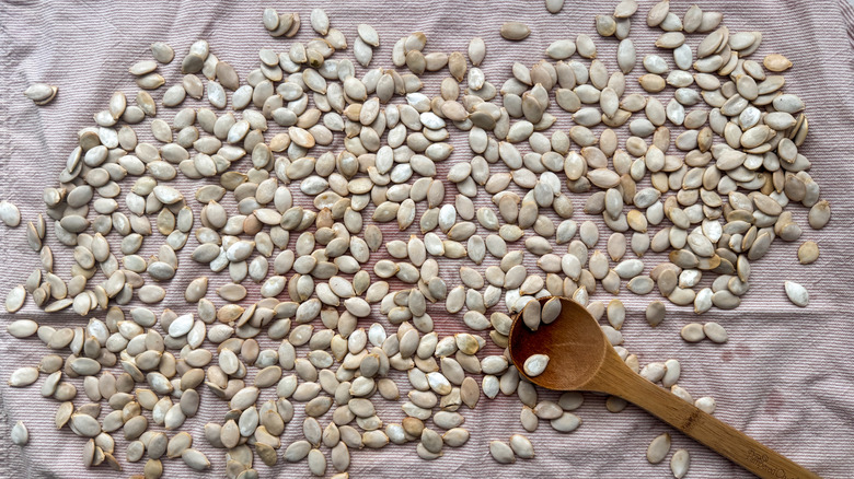 Pumpkin seeds spread out on dish towel