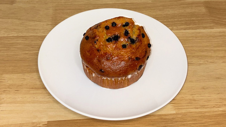 A large blueberry muffin on a white plate.