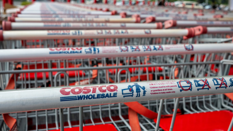 A lineup of shopping carts at Costco