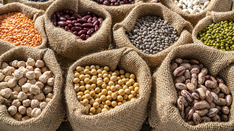 An array of burlap sacks filled with beans and lentils