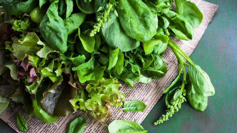 Fresh washed greens on a cutting board