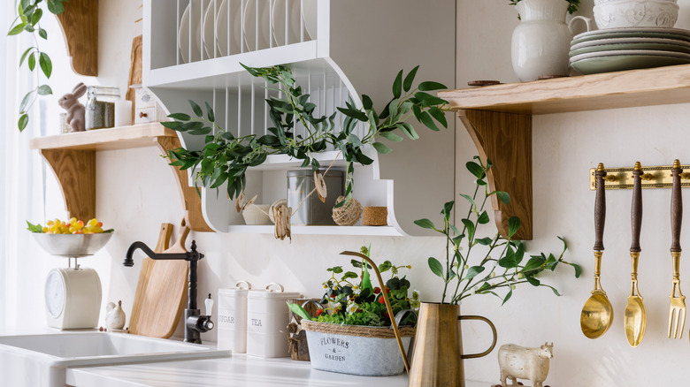 A clean kitchen countertop with plants placed throughout