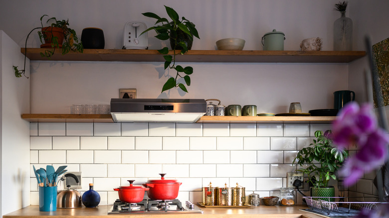 A kitchen shelf filled with colorful kitchenware and plants