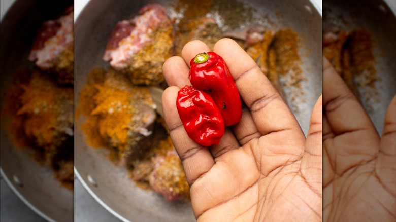 Hand holding two Scotch bonnet peppers over chicken cooking in a pan with spices