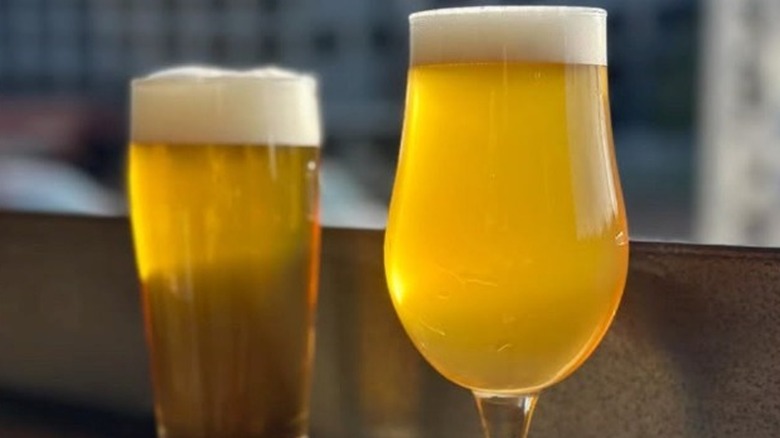 Two beers in front of a window at Holy Mountain brewing in Seattle.