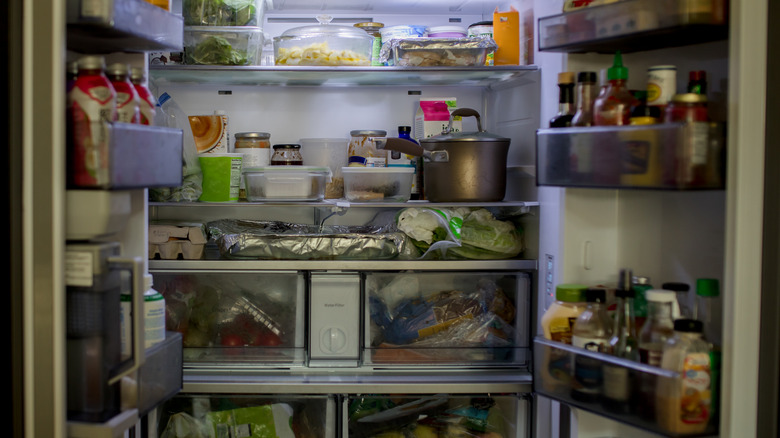 a fridge that's packed full of food