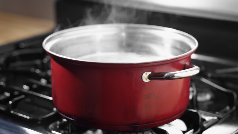 Red stock pot full of water on stove