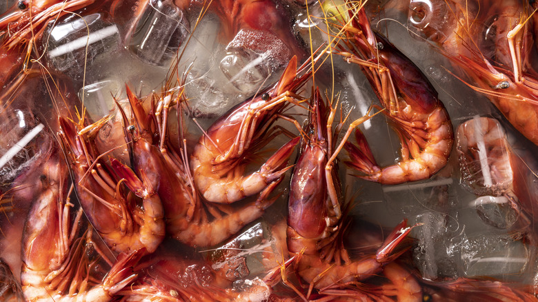 A vat of whole shrimp