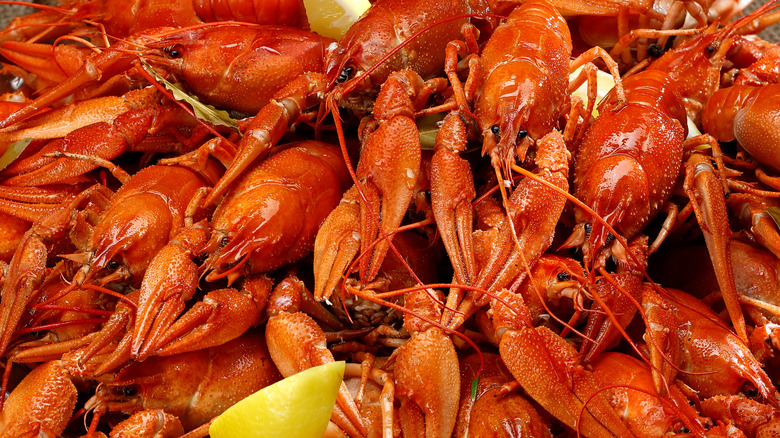 A pile of fresh crawfish with the shells on