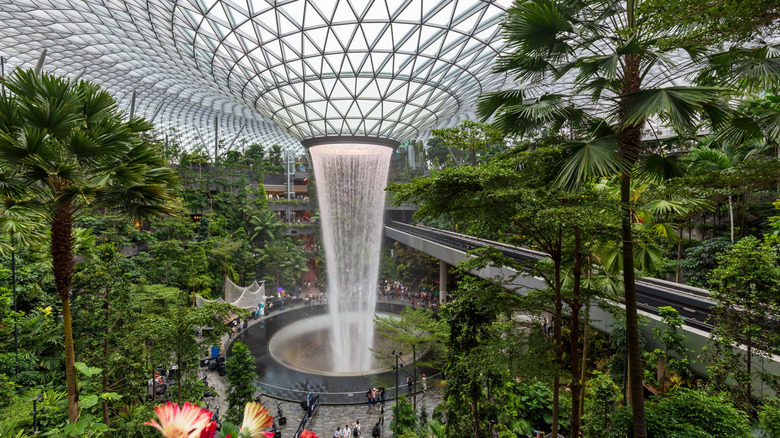 Interior of the Singapore Changi Airport with waterfall and tree forest