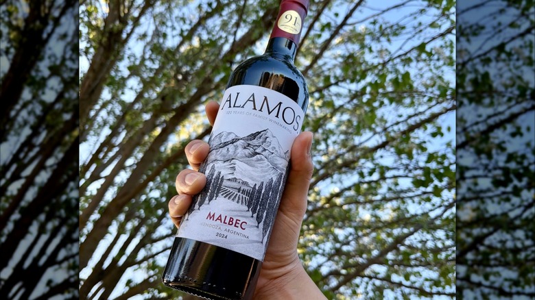 A person holding a bottle of Alamos Malbec against a background of trees