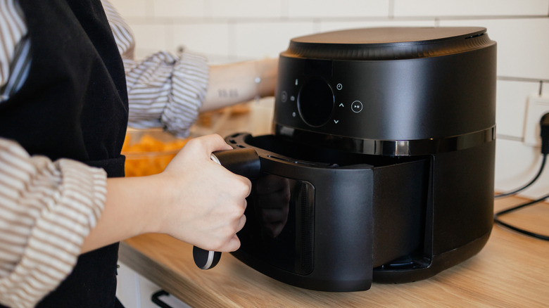 Person using an air fryer