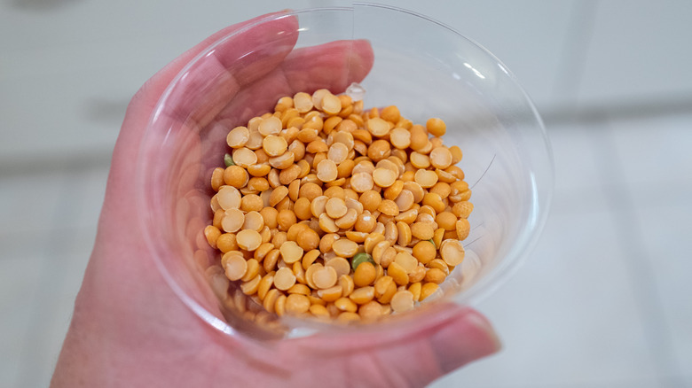 A hand holding a bowl of uncooked lentils.