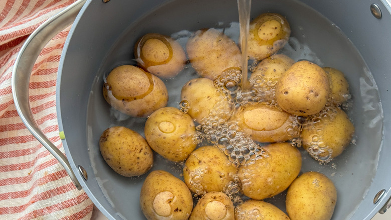 Adding water to the pot
