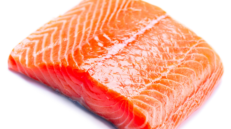 raw salmon fillet on white background
