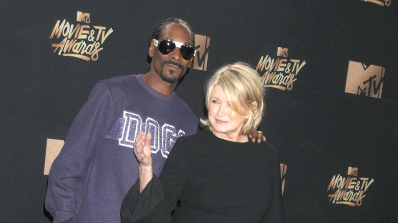 The unlikely pair of Snoop Dogg and Martha Stewart at an MTV Movie & TV award show