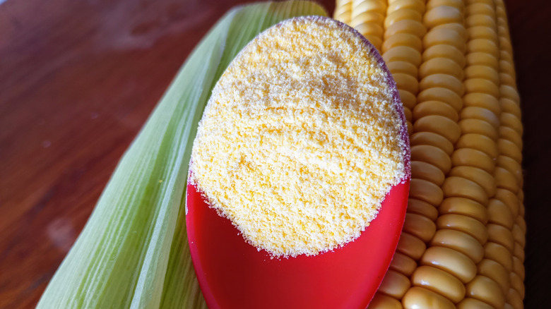 A spoon full of cornmeal next to an ear of corn