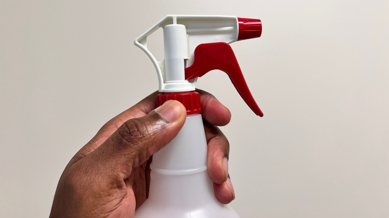 Cropped hand holding a spray bottle solution