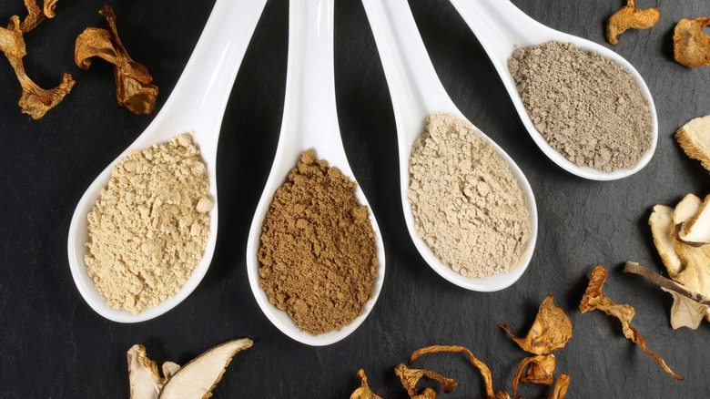 Spoons of mushroom powder