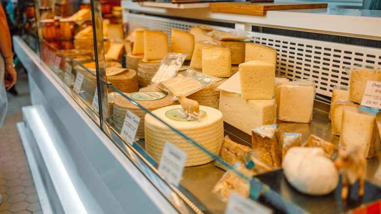 Large selection of fresh cheeses in a grocery store