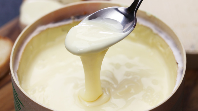 An oozing wheel of Vacherin Mont d'Or with a spoonful suspended above it