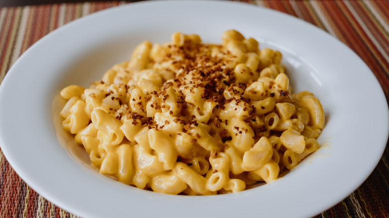white plate of mac and cheese