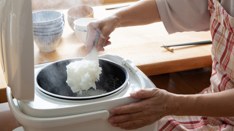 Rice freshly cooked rice from the rice cooker