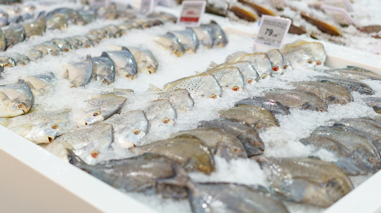Whole fresh fish on ice