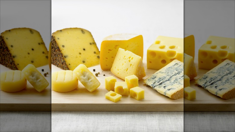 Different kinds of cheeses