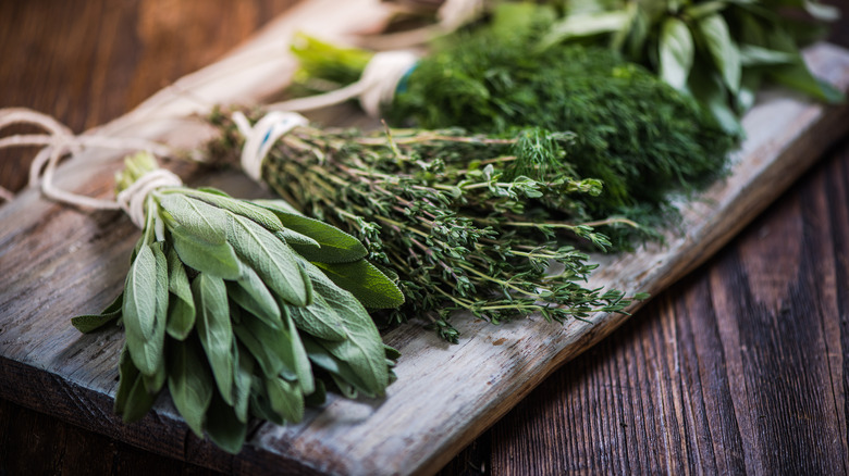Bundles of fresh herbs